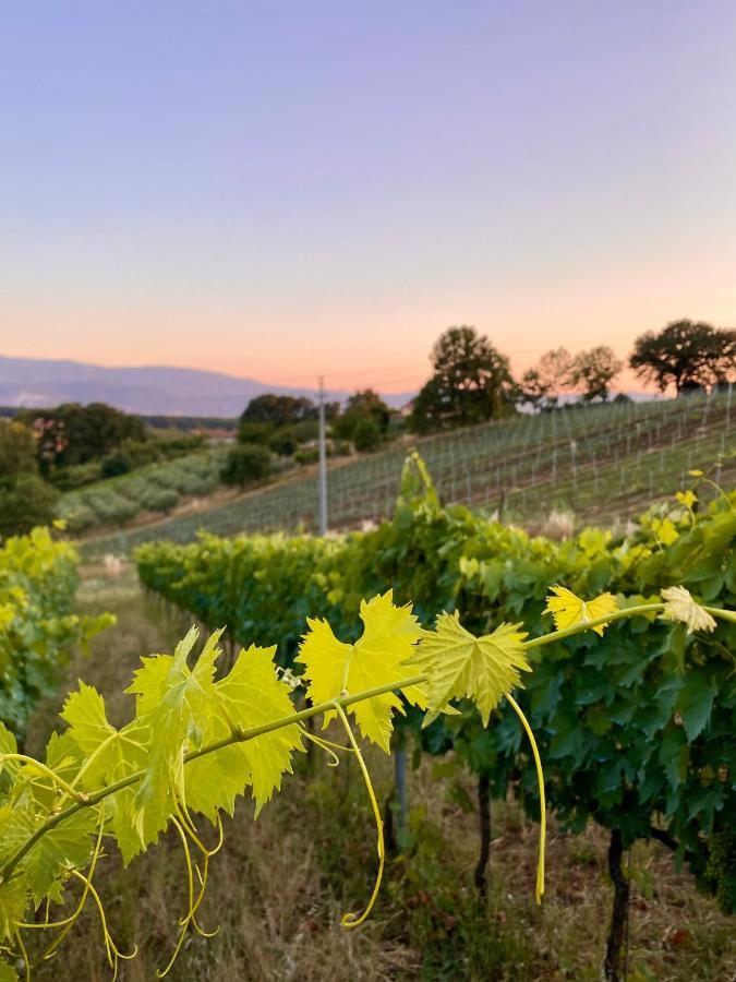 Paliano Donna Vittori - Borgo Agricolo 아파트 호텔 외부 사진
