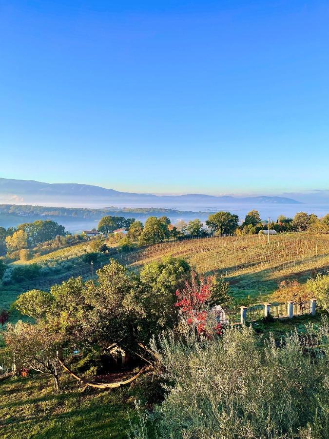 Paliano Donna Vittori - Borgo Agricolo 아파트 호텔 외부 사진