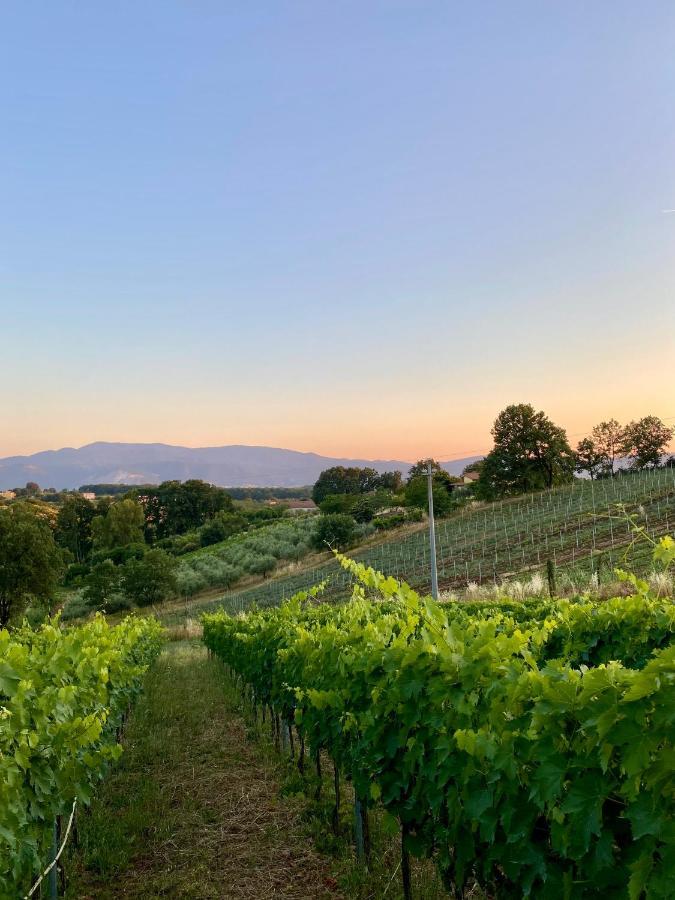 Paliano Donna Vittori - Borgo Agricolo 아파트 호텔 외부 사진