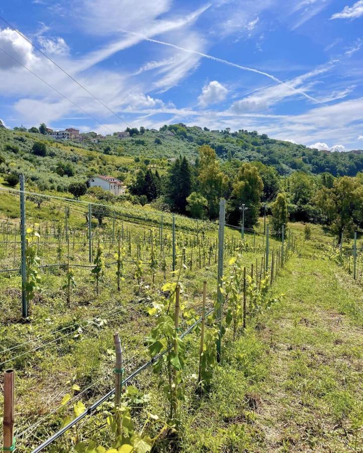 Paliano Donna Vittori - Borgo Agricolo 아파트 호텔 외부 사진