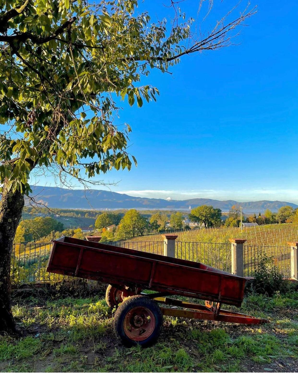 Paliano Donna Vittori - Borgo Agricolo 아파트 호텔 외부 사진