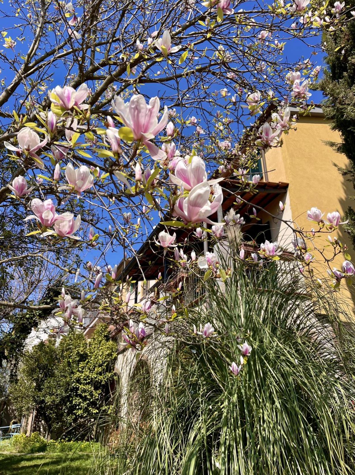 Paliano Donna Vittori - Borgo Agricolo 아파트 호텔 외부 사진